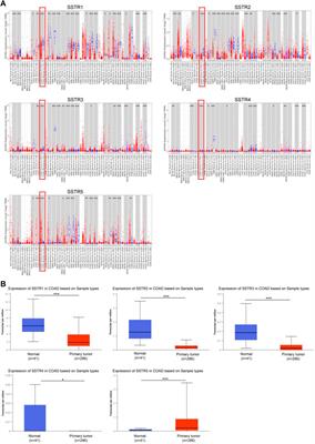 Immunological role and prognostic value of somatostatin receptor family members in colon adenocarcinoma
